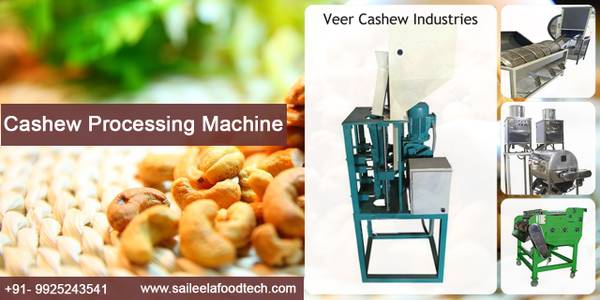 Automatic Cashew Cutting Line and Cashew Machinery