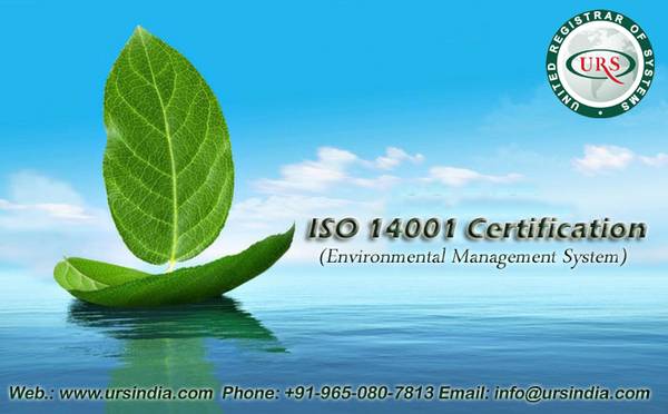 ISO  Certification Services in Noida