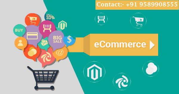 Best E-Commerce Website Development Service in Gurgaon