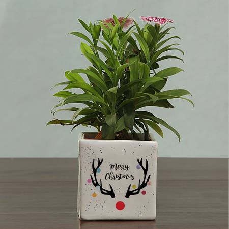 Personalized Merry Christmas Planters