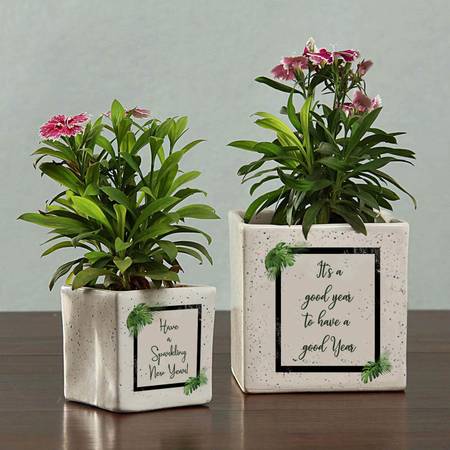 Personalized Ceramic Planters