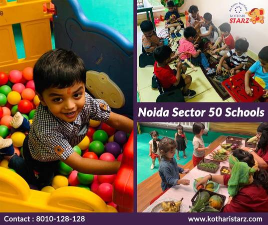 Noida Sector 50 Schools