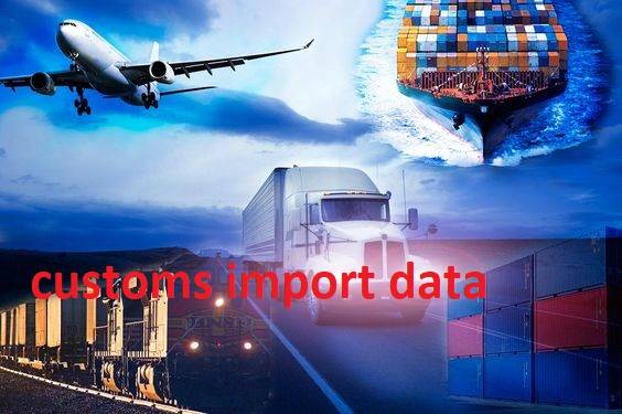 Obtain a safe Customs import data