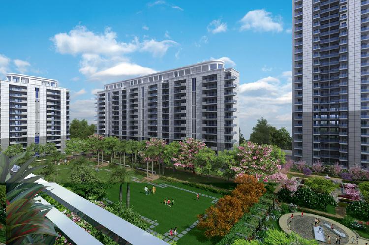 DLF Ultima Ready to Move Luxury Flats
