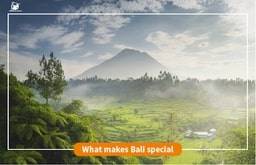 What makes Bali special | Shoes On Loose