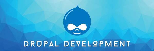 Top Drupal development services by best web development