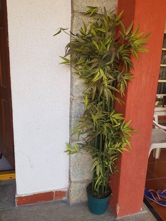 Tall Artificial Bamboo plant