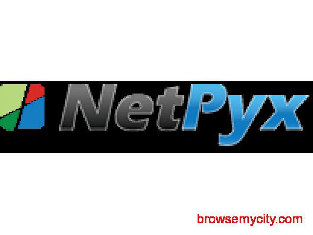Netpyx | Wordpress development services india
