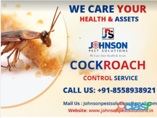 Professional Pest Control treatments in Chandigarh