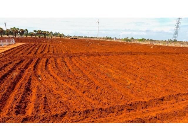 Cheap agri land in Uthumalai