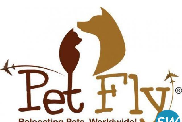 Pet Relocation Pet Moving Services