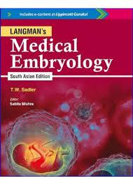Buy Langmans Medical Embryology T Sadler - College Book