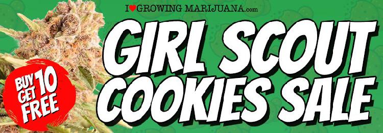 Girl Scout Cookie Seeds