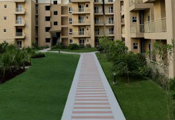 3 bhk flats in Noida Extension
