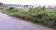 2.5 Lacs per cent Commercial Land at Nallore Road Near