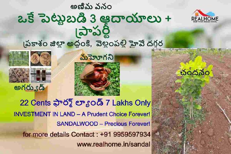 22 cents Plantation Plots in Addanki,Prakasam district for 7
