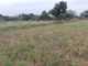 394 Acre's agriculture land for sale Near palamaner to