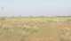 650 Acres Red Soil Land for sale Gottigundala Kondapuram,