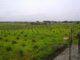 Farm Lands 1 Acre @ 8 Lakhs - Hyderabad