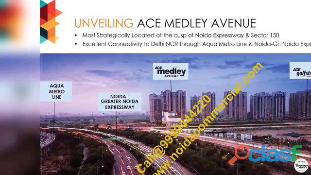 Ace Medley Avenue, Ace Medley Avenue Review
