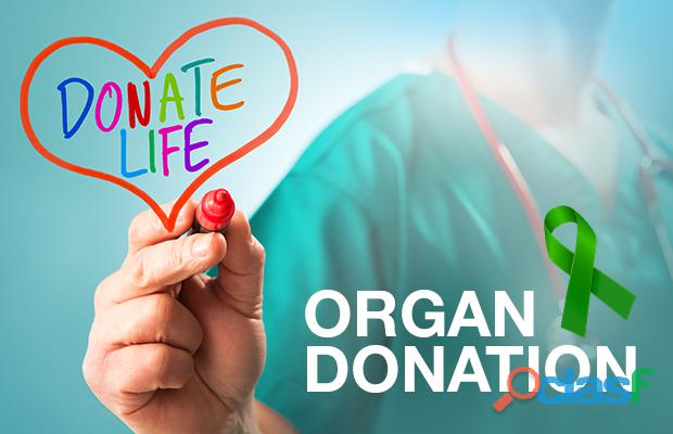 Help us make more transplants possible!