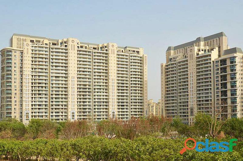 4 BHK Service Apartment for Rent in DLF the Magnolias