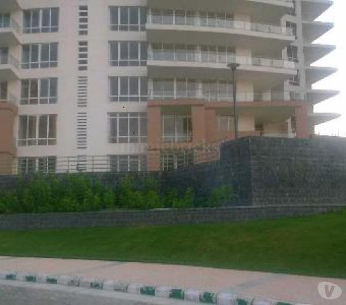 4 BHK Flats For Rent Vipul Belmonte Call 98112,80160