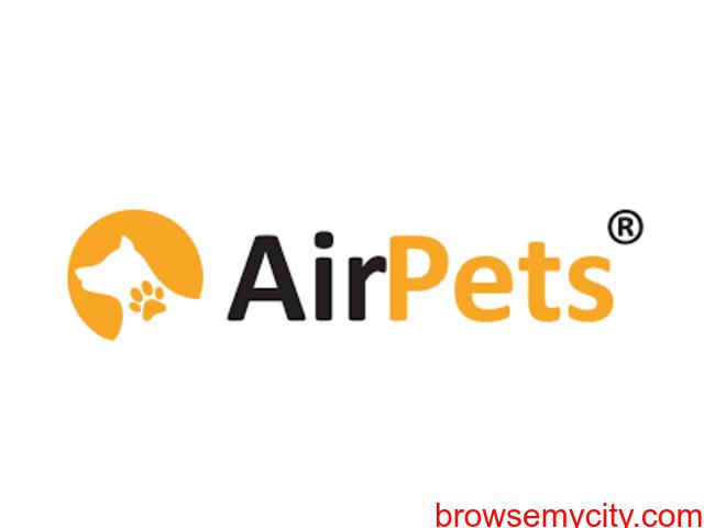 Pet Relocation Services in India