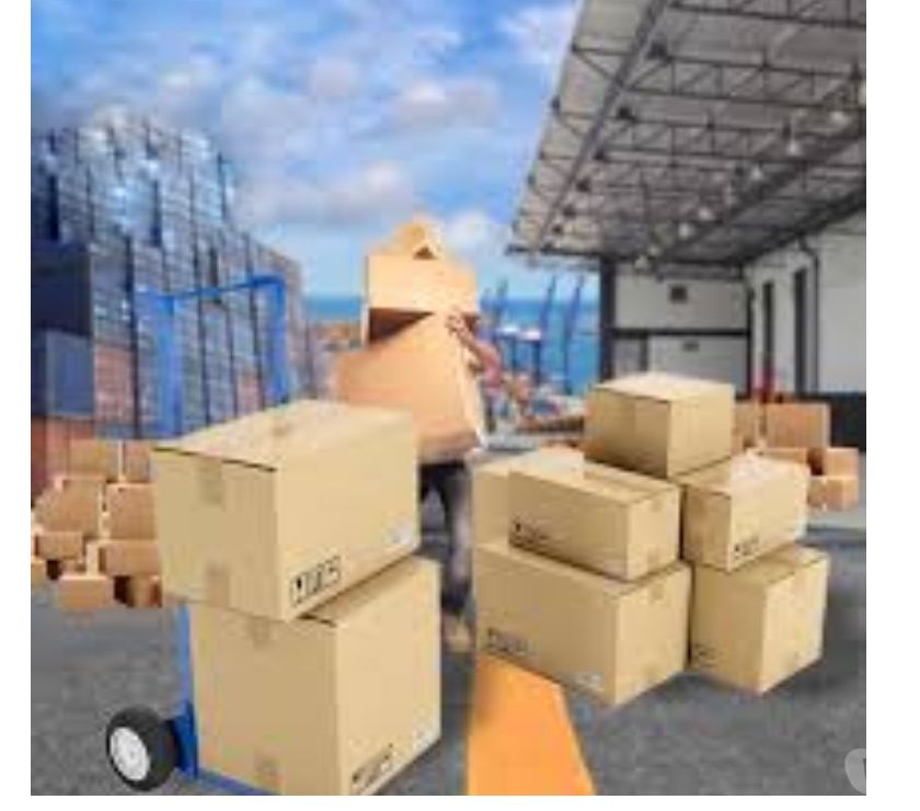 Packers and movers in indore Indore
