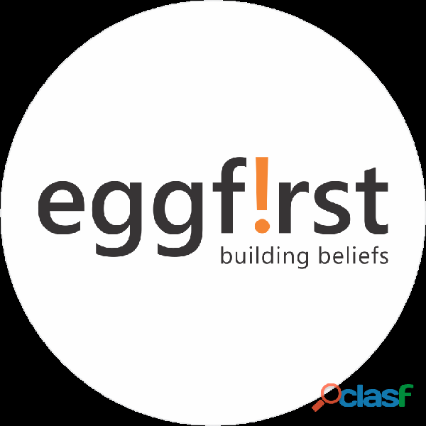 Choose a leading online advertising company, choose Eggfirst
