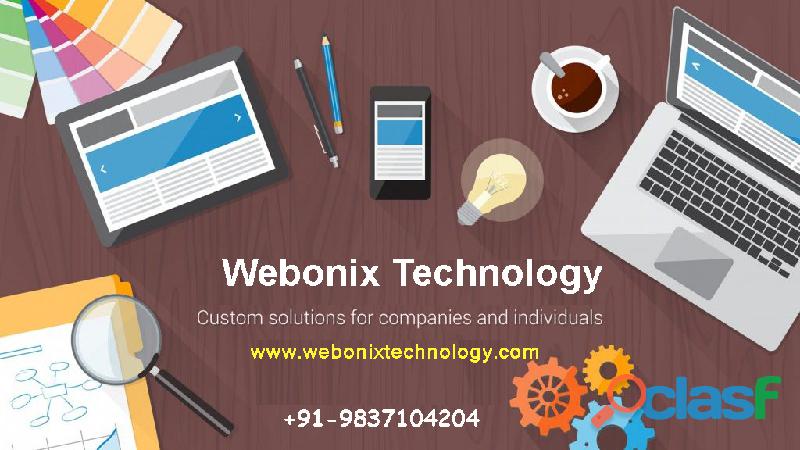 Website Designing Company in Meerut Webonix Technology