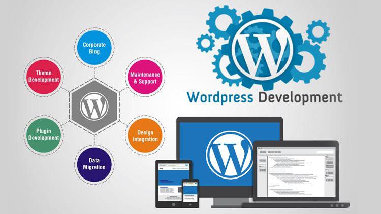 Best Wordpress website design company Noida