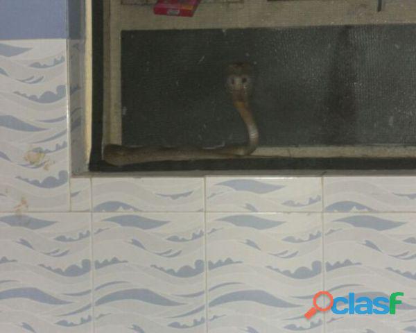 mosquito window net install at ariyankuppam 9788538852