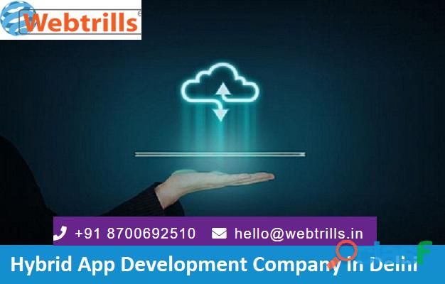 Hybrid App Development Company in Delhi