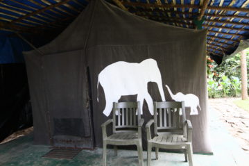 Deep Jungle Home Resort in Bandipur Mudumalai
