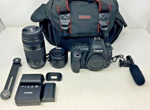 canon 5d mark iv with kits