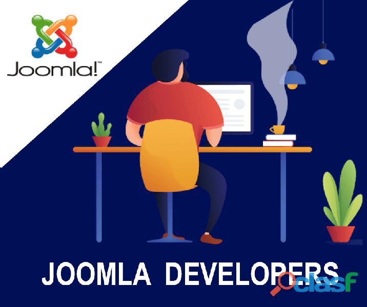 Joomla Developers