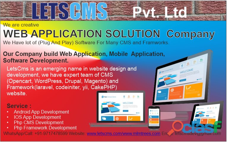 Software & Web Application Development Company | LETSCMS