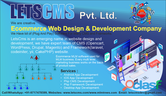 MLM Ecommerce Web Design & Development Company | LETSCMS