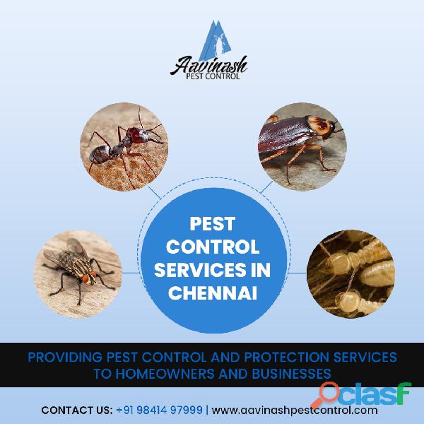 Pest Control Services in Chennai Aavinashpestcontrol