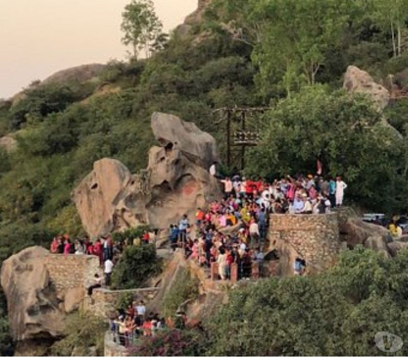 Exclusive offer "MOUNT ABU TRIP" Ahmedabad