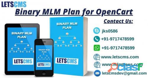 Binary MLM Plan Software | Binary Multi Level Marketing Plan