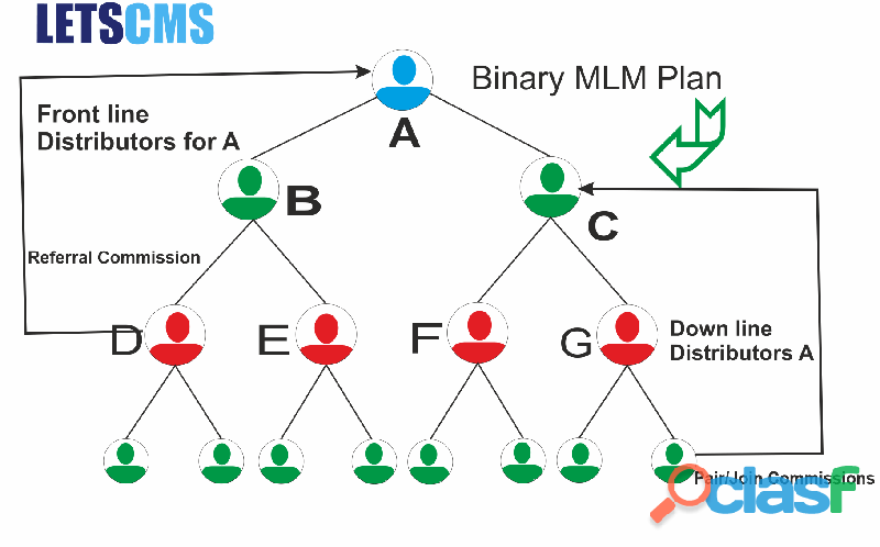 Binary mlm Calculation Commission in Network Marketing Plan