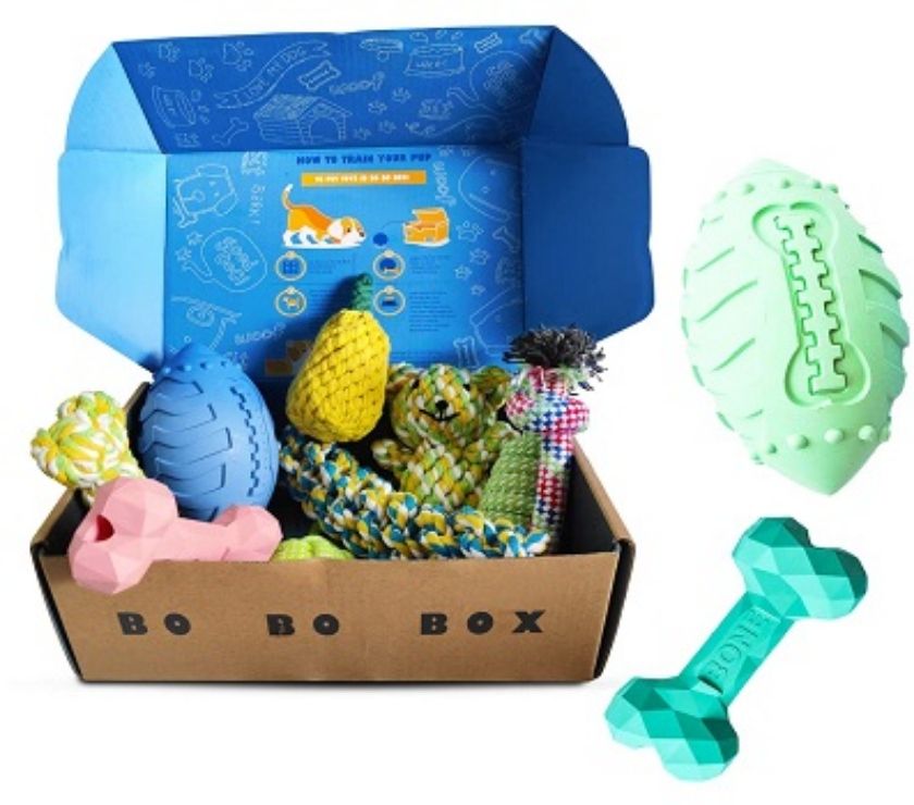 10 Best Dog Subscription Boxes to Buy in  Gurgaon