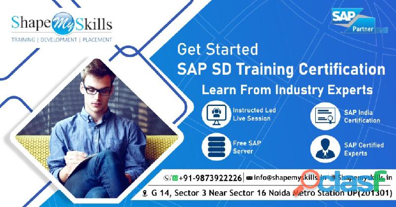Best SAP SD training in noida