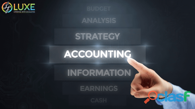 Chartered Accountants in Delhi Luxe Finalyzer