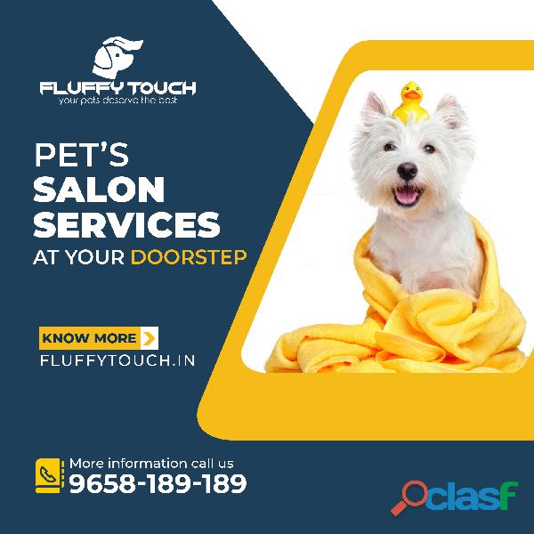 pet grooming home service