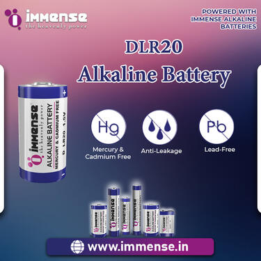 Buy D Size Alkaline battery from manufacturer company cheap
