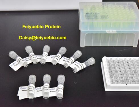 Feiyuebio research kit May promotion anti Perforin antibody