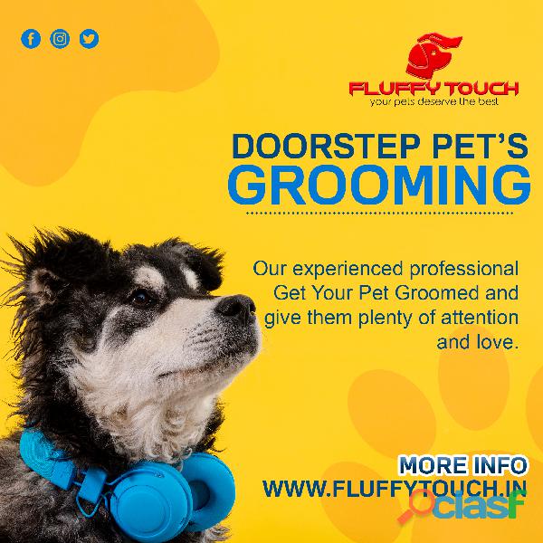 Pets grooming service